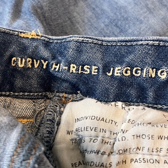 American Eagle Next Level Stretch Curvy Hi Rise Jegging Distressed Women 0 Reg - Picture 12 of 14